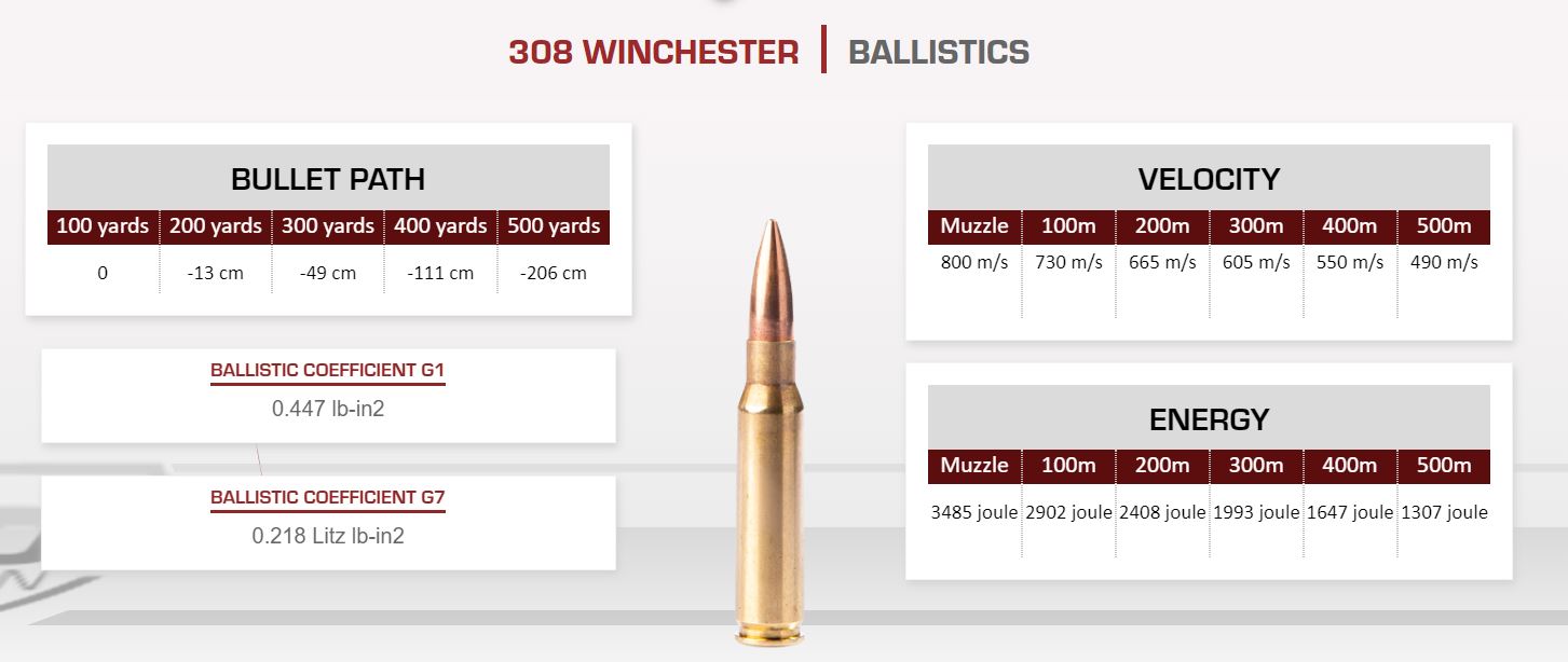 Munition Fiocchi HPBT Sierra Match King - Hollow point boat tail 168gr/10.9g .308 Win. (7.62x51)