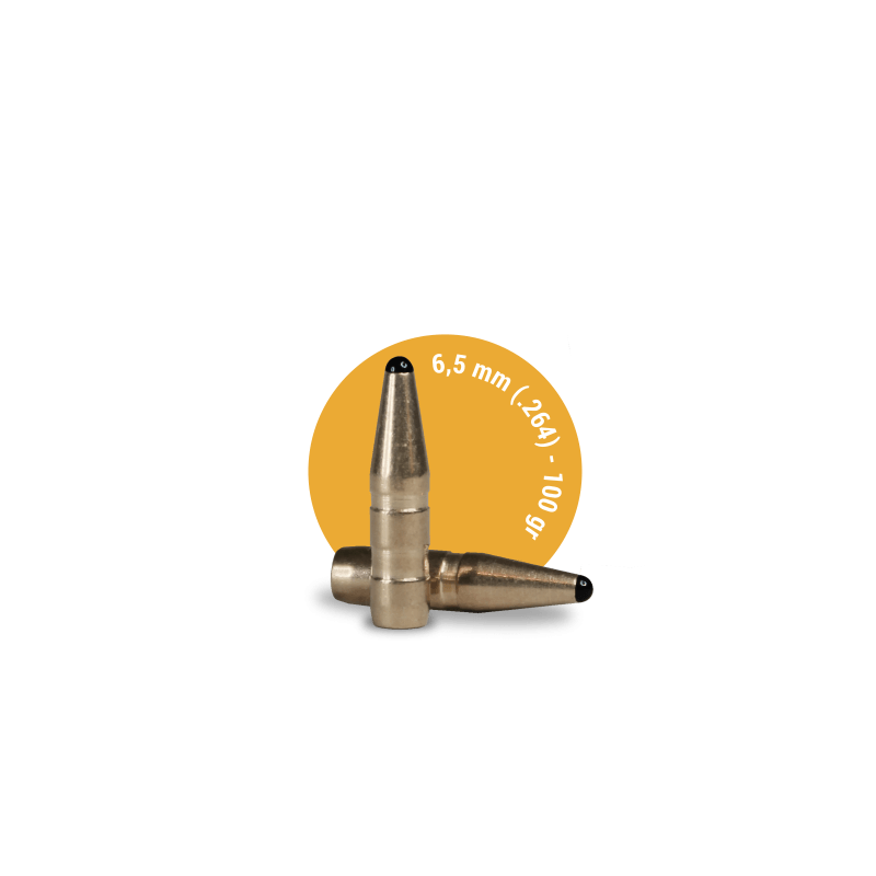 Geschosse Fox Classic Hunter 100grs / 6.5g 6.5mm