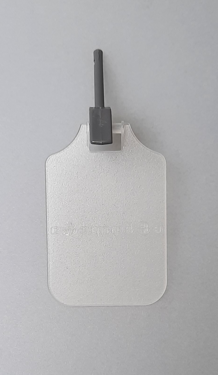 Champion Augenabdeckung - schmal - transparent