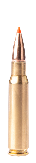 Munition Fiocchi EPN 11.7g/180gr .308 Win. (7.62x51) (EPN - Expansion polymer nose)