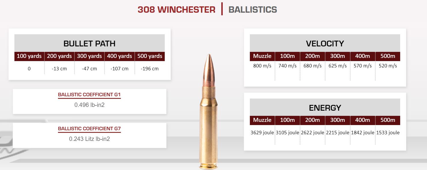 Munition Fiocchi HPBT Sierra Match King - Hollow point boat tail 175gr/11.3g .308 Win. (7.62x51)