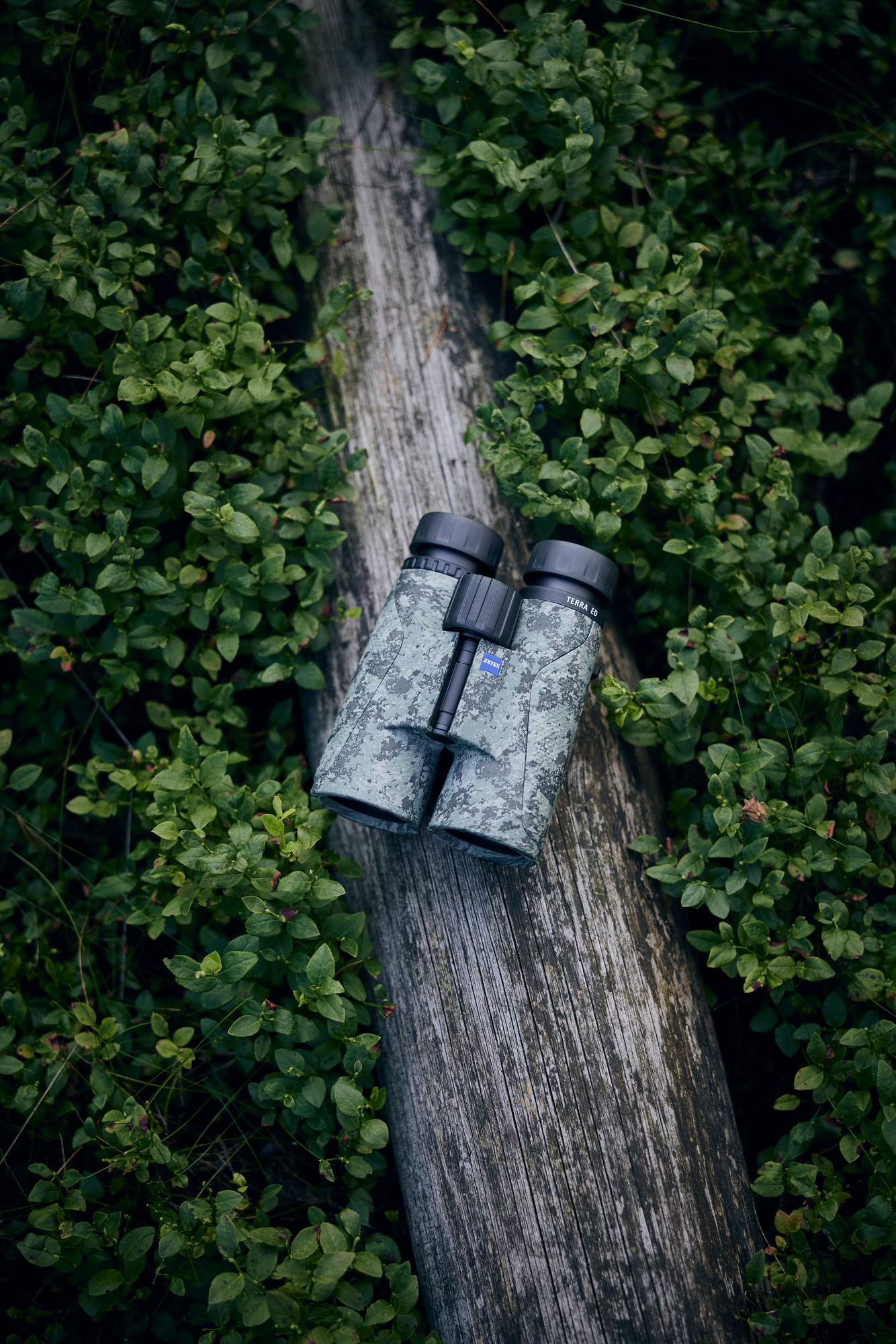 Fernglas Carl Zeiss Sport Optics TERRA ED 10x42 camo