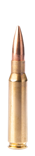 Munition Fiocchi HPBT Sierra Match King - Hollow point boat tail 168gr/10.9g .308 Win. (7.62x51)