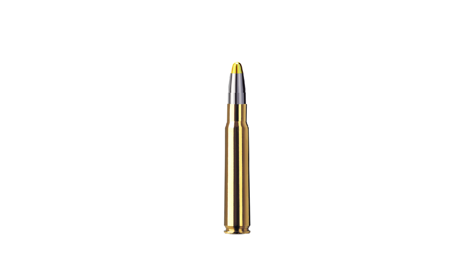 Munition RWS EVOLUTION 13,0g/200gr 8x57 JS