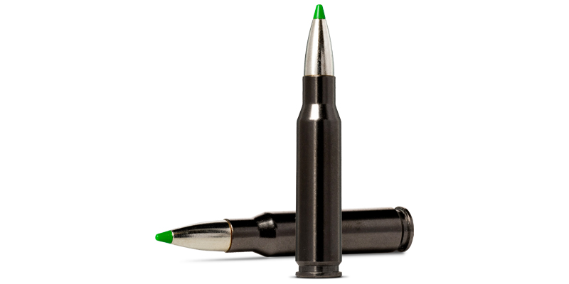 Munition Norma Ecostrike Silencer 150grs /  9.7 g (Bleifrei) .308 Win. (7.62x51)
